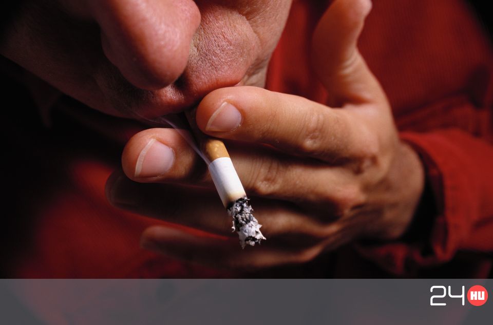 hogyan lehet leszokni a dohányzásról miközben hízik hatékony hevederek