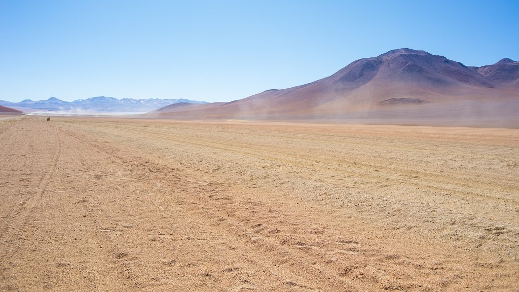 A bélparaziták, paraziták és gazdanövények 6 tünete a sivatagban