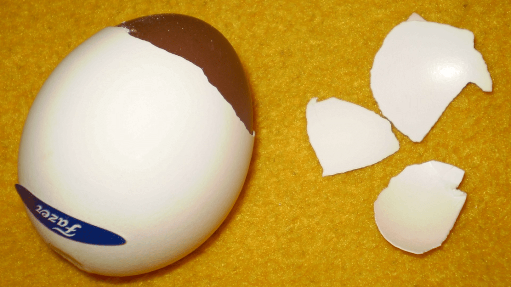 Pénisz alakú tojást tojt a tyúk | hu