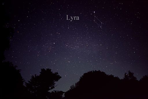 Cygnus, Lyra