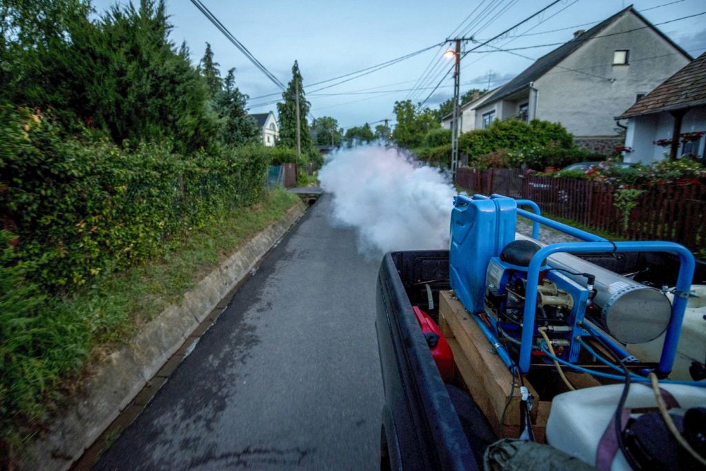 Jövőre már nem szórhatják a fejünkre a kémiai szúnyogirtó szereket | 24.hu
