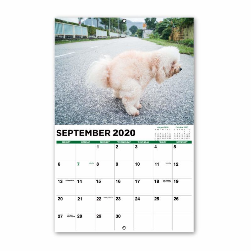 A poszterek mé 995Ft. Nagy cicik szexi naptár - 2020.