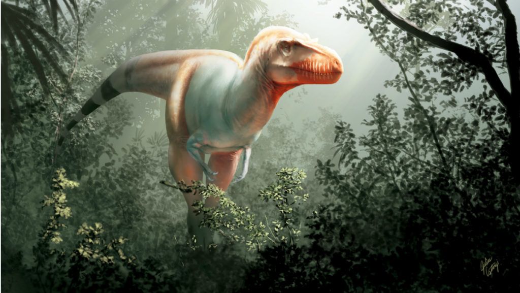 Kutatók szerint egyedülálló és tökéletes dinóánuszt találtak