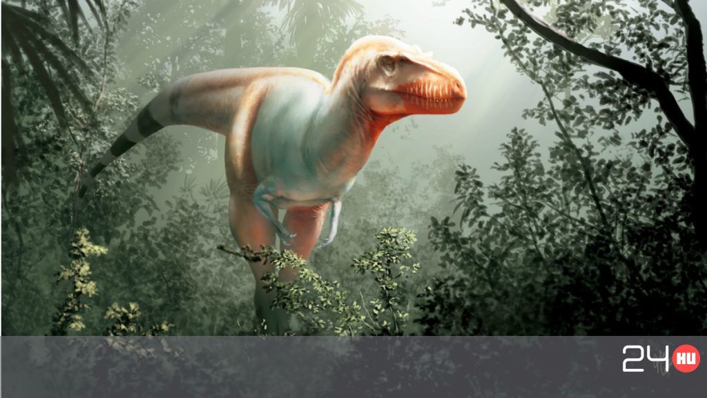 Kutatók szerint egyedülálló és tökéletes dinóánuszt találtak