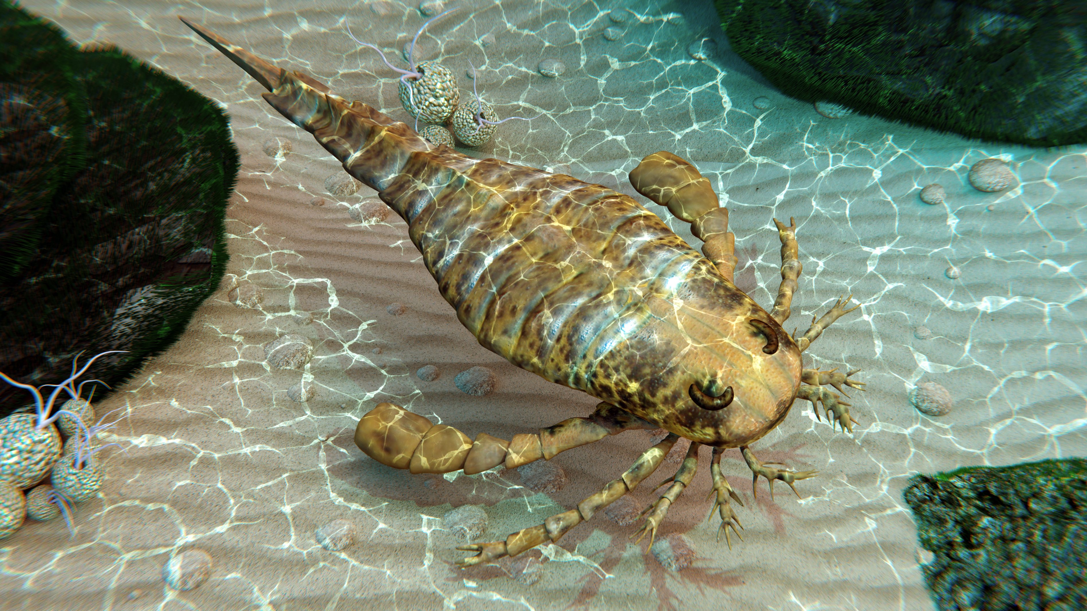 Kutya nagyságú tengeri skorpió maradványaira bukkantak