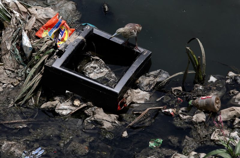 Bengaluru, 2018. június 4.
Élelmet keresõ vadmadár háztartási hulladékkal szennyezett vízparton a dél-indiai Bengaluruban (korábban Bangalor) 2018. június 4-én, a környezetvédelmi világnap elõtti napon. A világnap kiemelt témája 2018-ban a mûanyaghulladék-gazdálkodás. (MTI/EPA/Dzsagadis Nv)